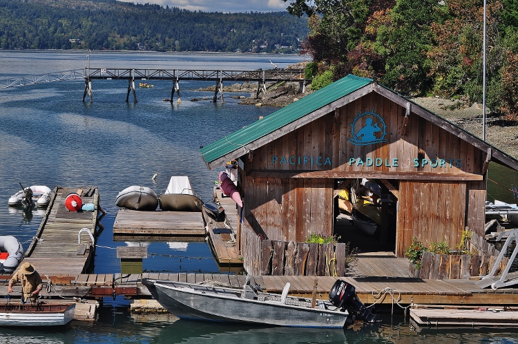 harbor shot